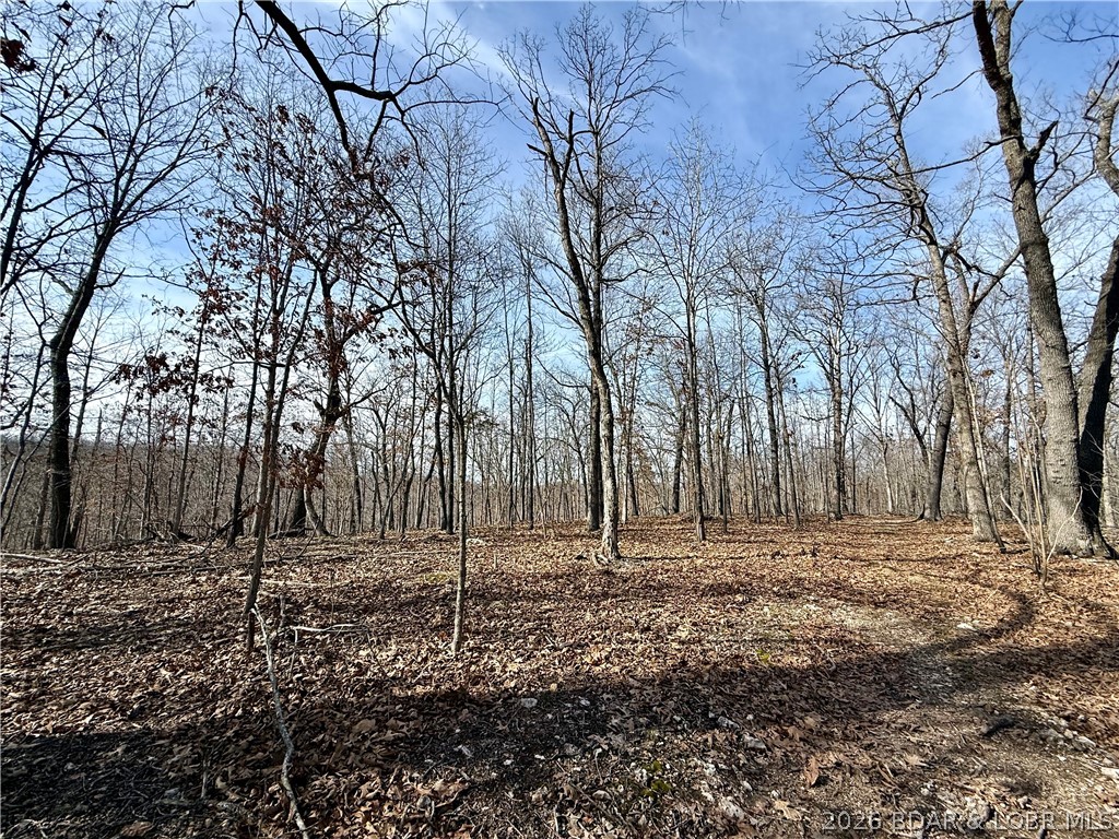 00 Red Fox Road Property Photo 27