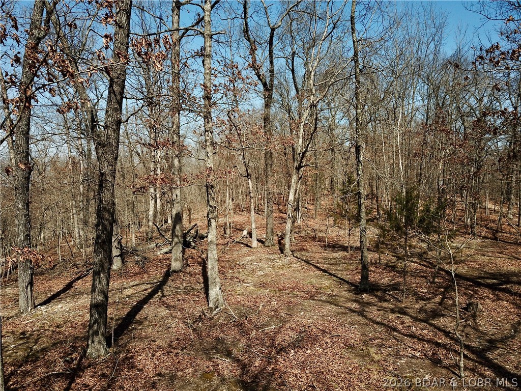 00 Red Fox Road Property Photo 31