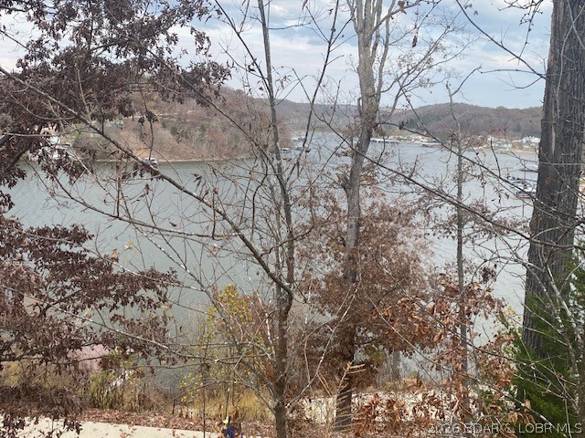 Lot 74 Eagle Bay Drive Property Photo 1