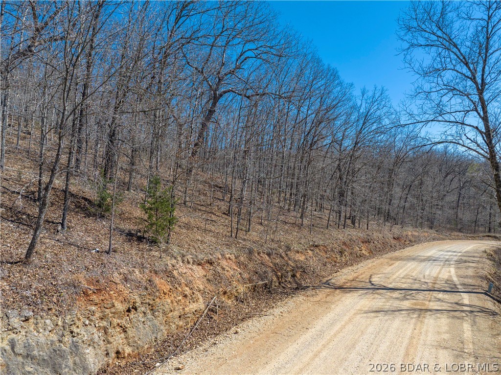 Central Ozarks Road Property Photo 10