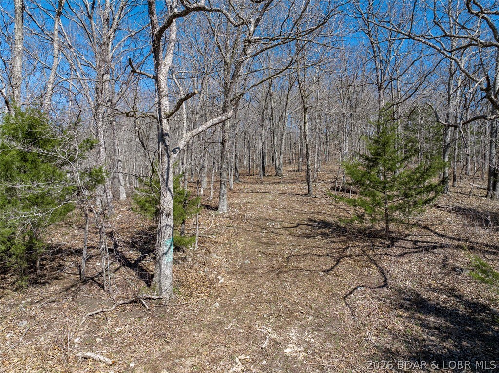 Central Ozarks Road Property Photo 12