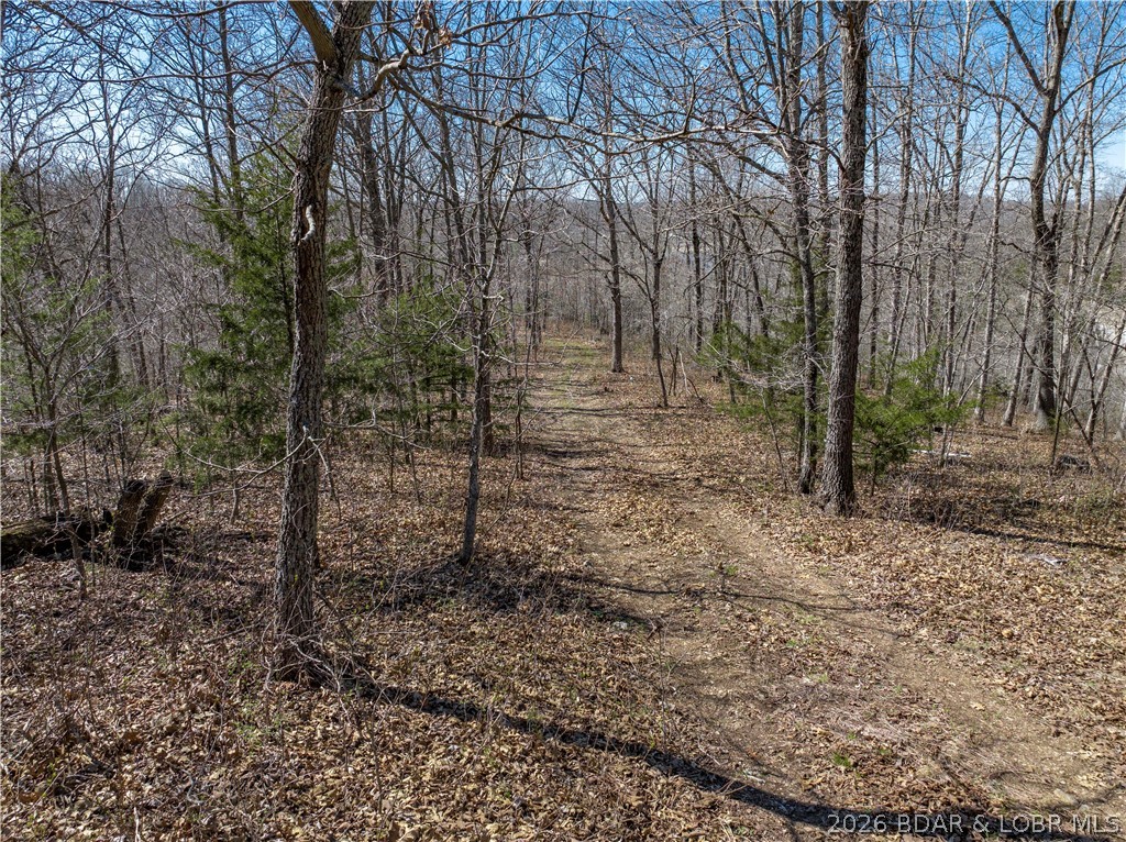 Central Ozarks Road Property Photo 13