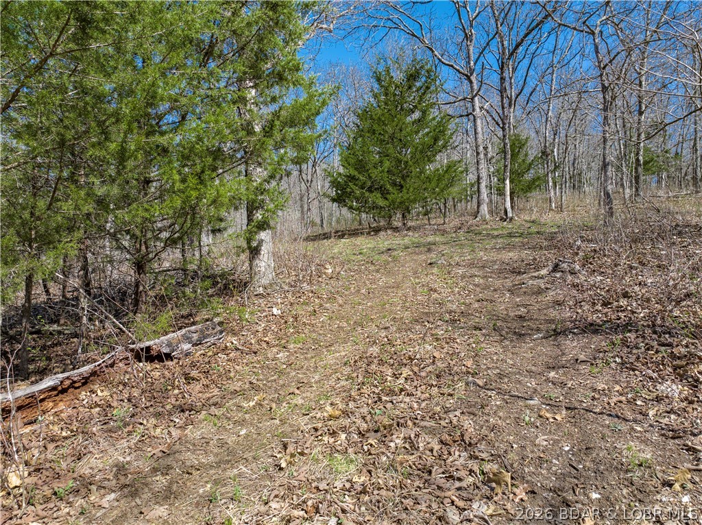 Central Ozarks Road Property Photo 14