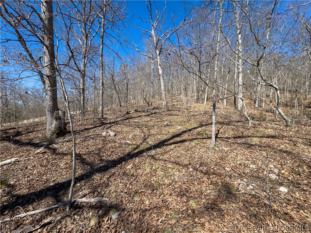 Central Ozarks Road Property Photo 15