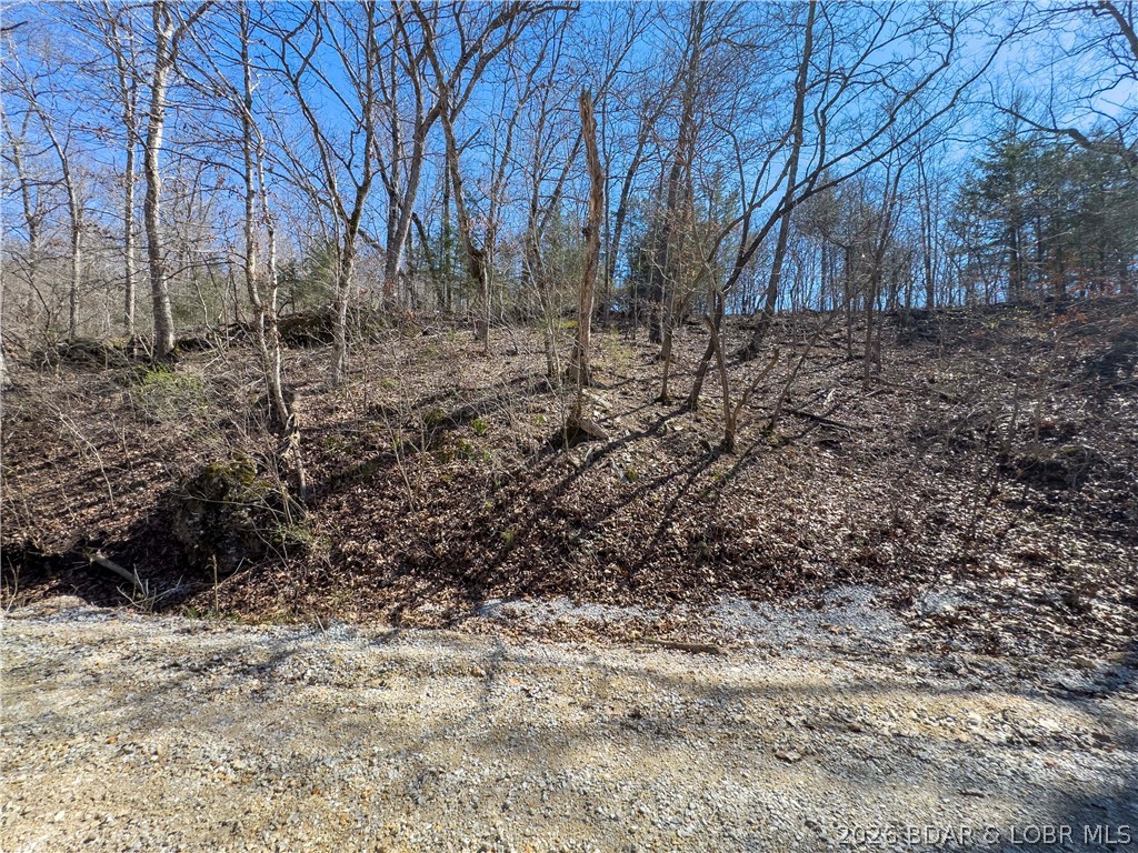 Central Ozarks Road Property Photo 16