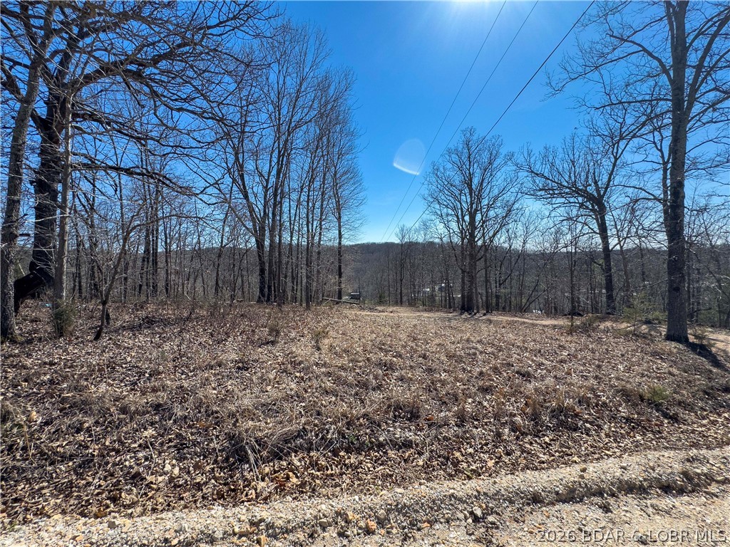 Central Ozarks Road Property Photo 17