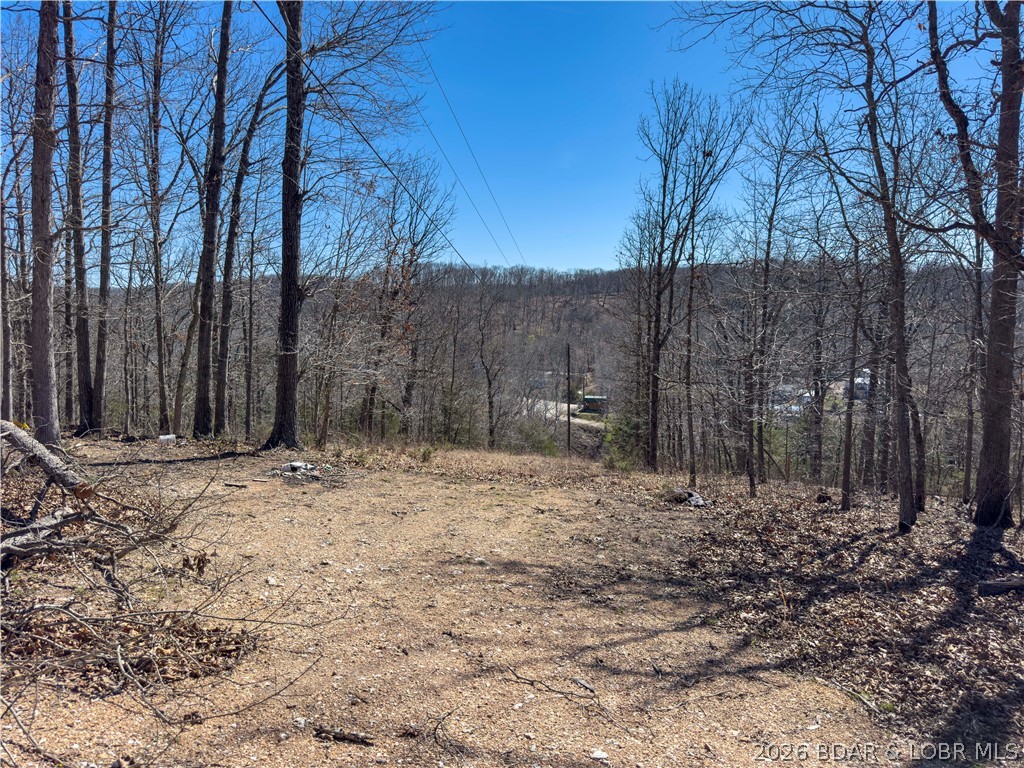 Central Ozarks Road Property Photo 19