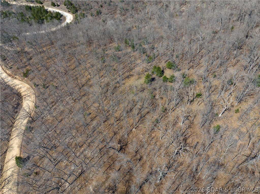 Central Ozarks Road Property Photo 20