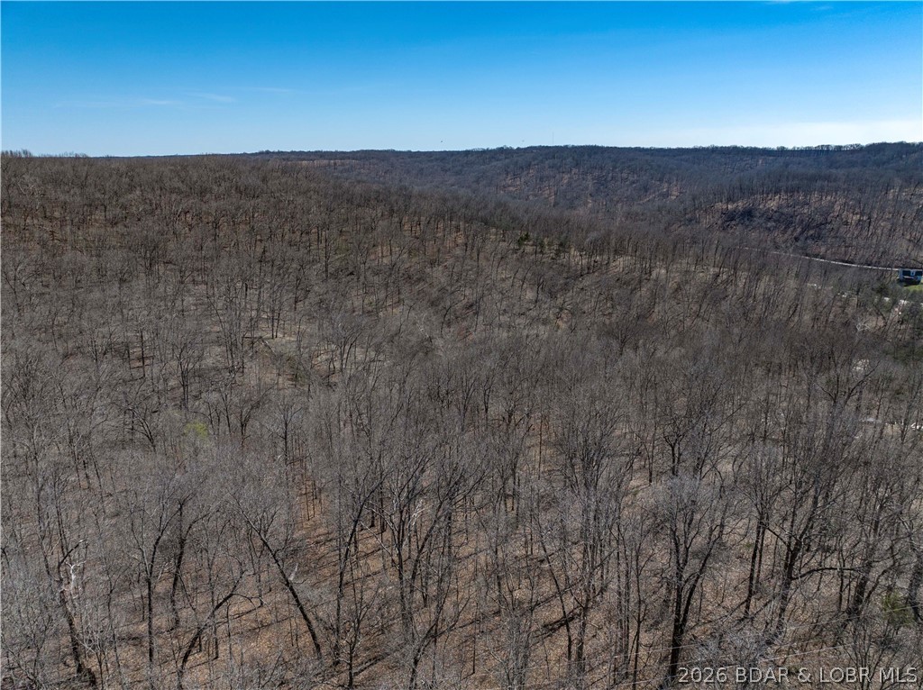 Central Ozarks Road Property Photo 29