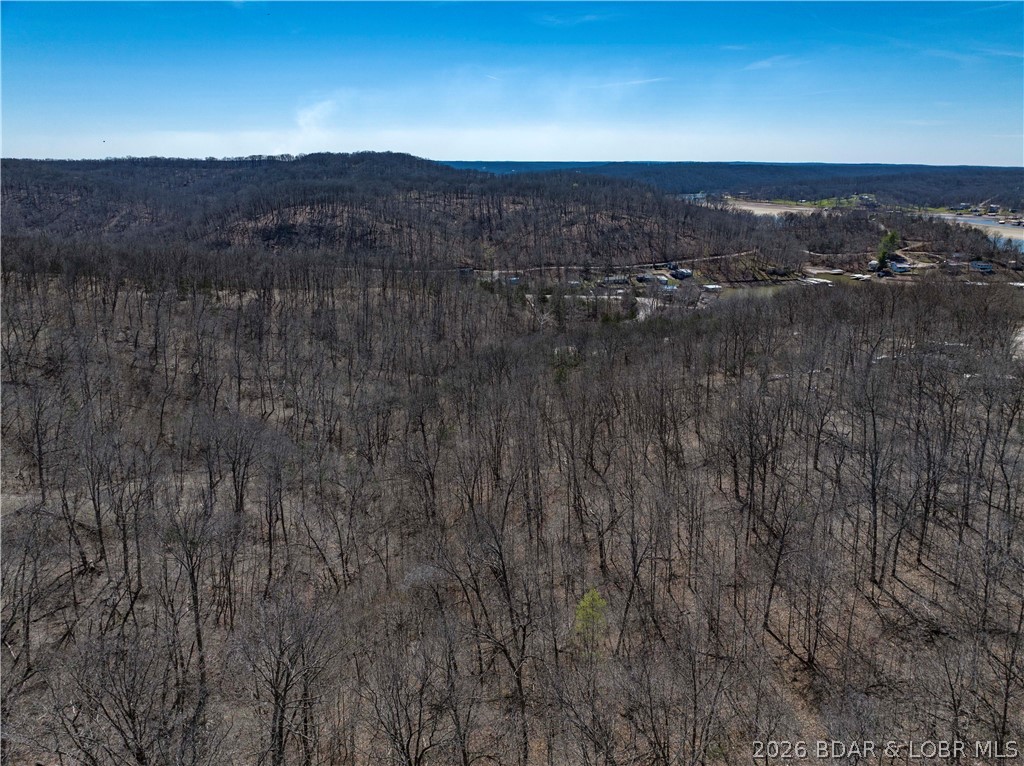 Central Ozarks Road Property Photo 30