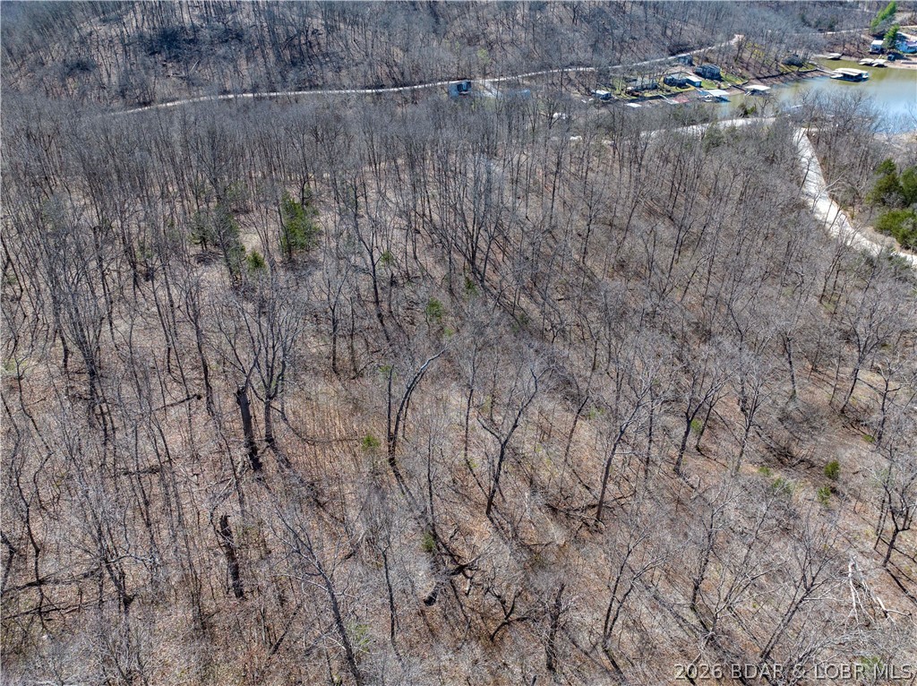 Central Ozarks Road Property Photo 32