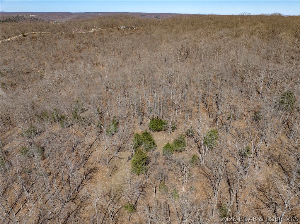 Central Ozarks Road Property Photo 33