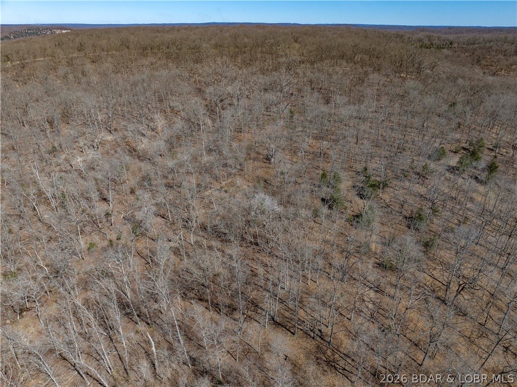 Central Ozarks Road Property Photo 34