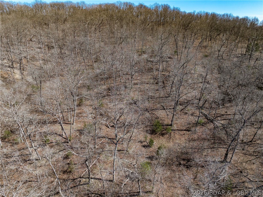 Central Ozarks Road Property Photo 35