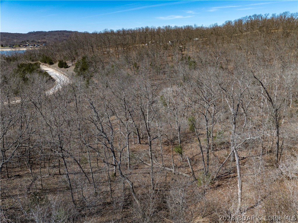 Central Ozarks Road Property Photo 36