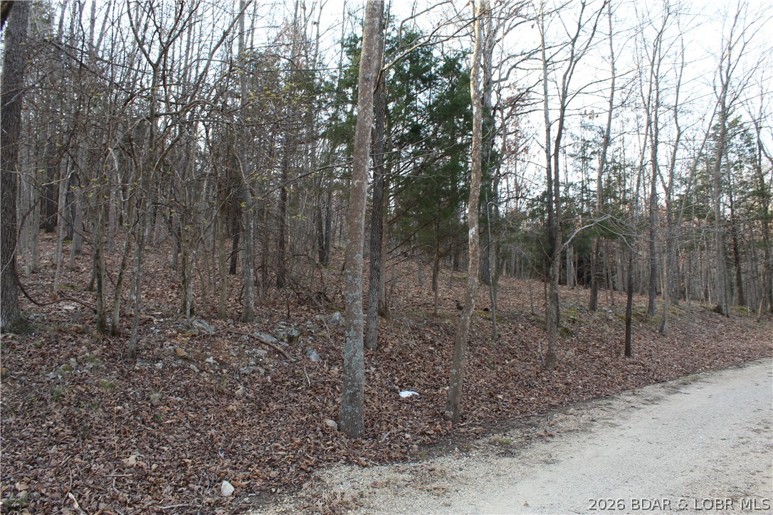 Lot 39 Grey Wolf Road