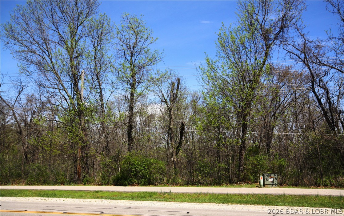 Lot 698 Horseshoe Bend Parkway Property Photo 1