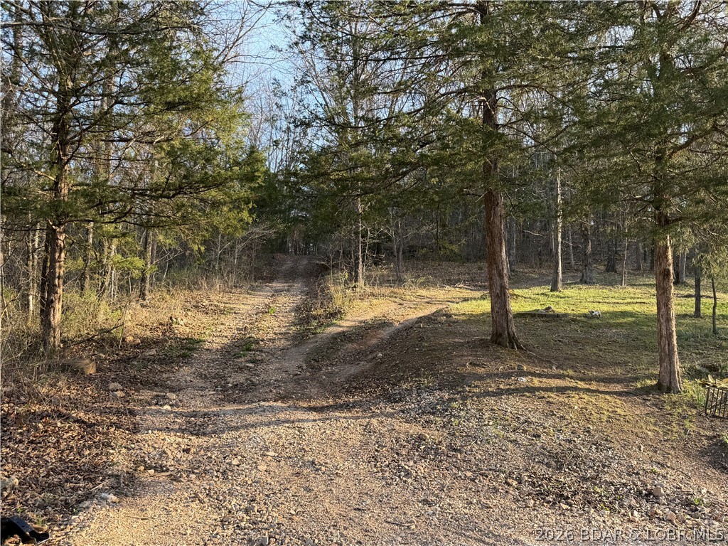 184 State Park Road Property Photo 75
