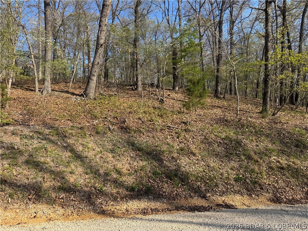 Lot 166 Albany Drive Property Photo 1