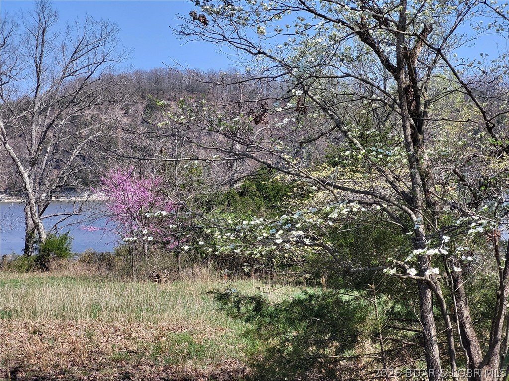 Emerald Hills Drive Phase 4 Lot 4 Property Photo 1