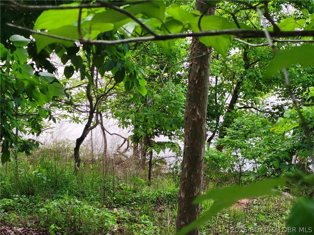 Emerald Hills Drive Phase 5 Lot 2 Property Photo 1