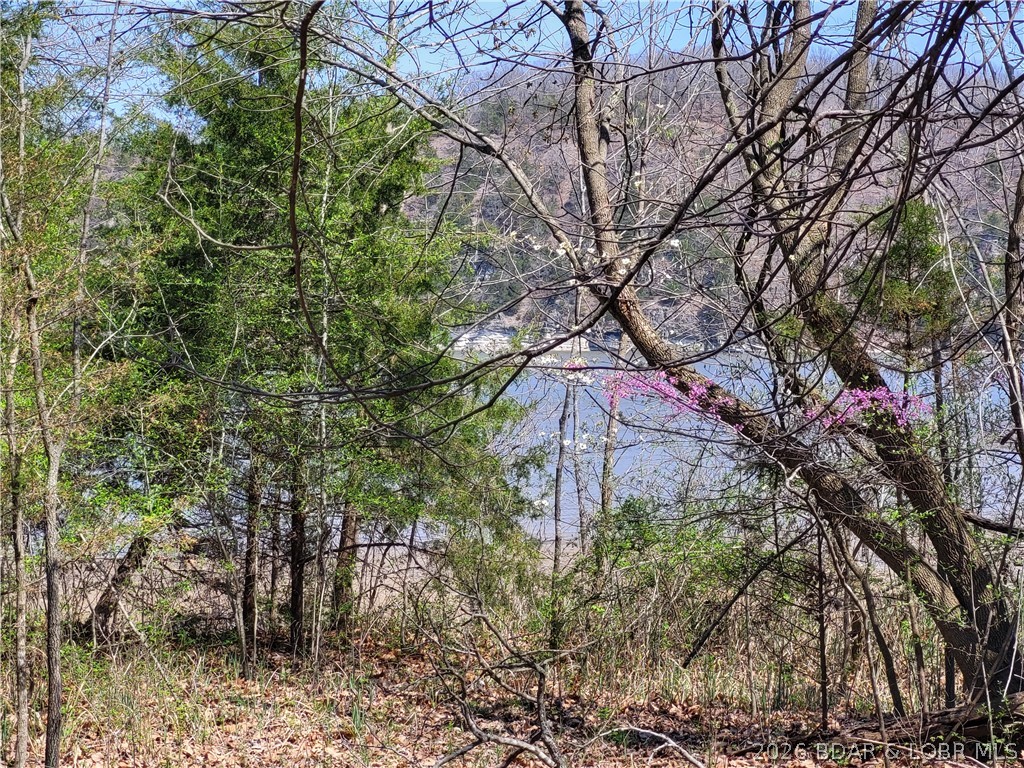 Emerald Hills Drive Phase 4 Lot 2 Property Photo 1