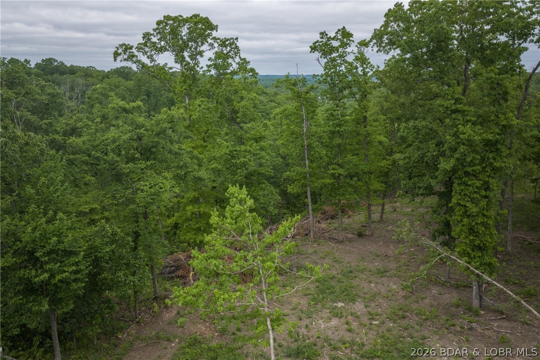 Tbd Us-54 Property Photo 26