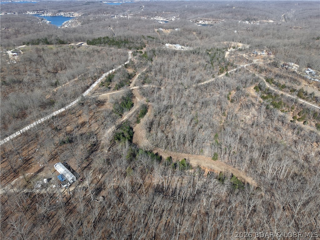 Elm Tree Road Property Photo 33