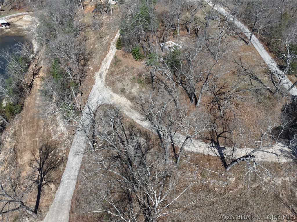 Elm Tree Road Property Photo 49