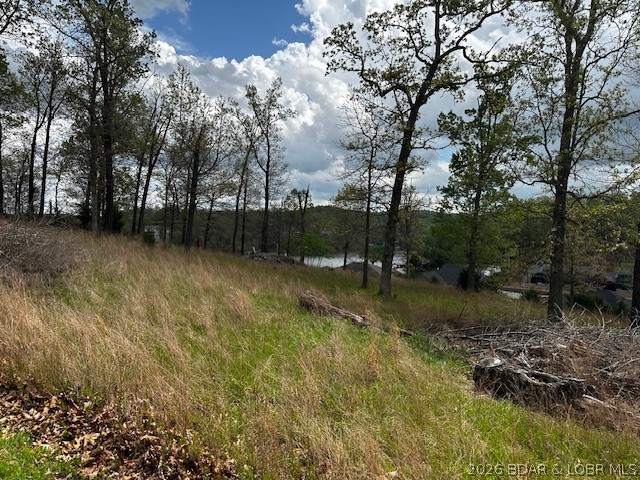3587081 Property Photo 2
