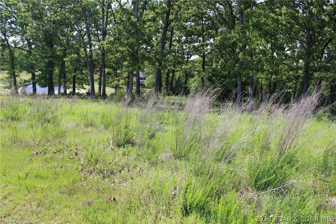 Tbd Apache Drive Property Photo 6