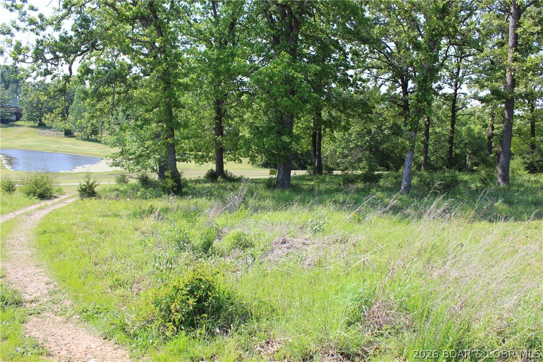 Tbd Apache Drive Property Photo 8