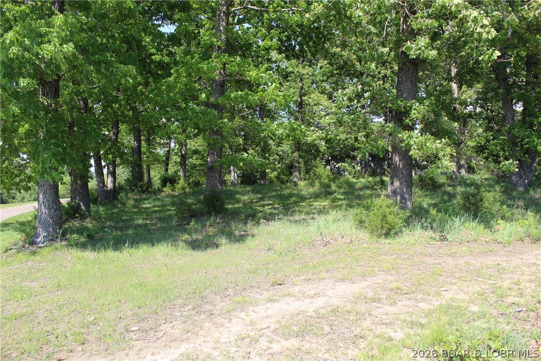 Tbd Apache Drive Property Photo 10