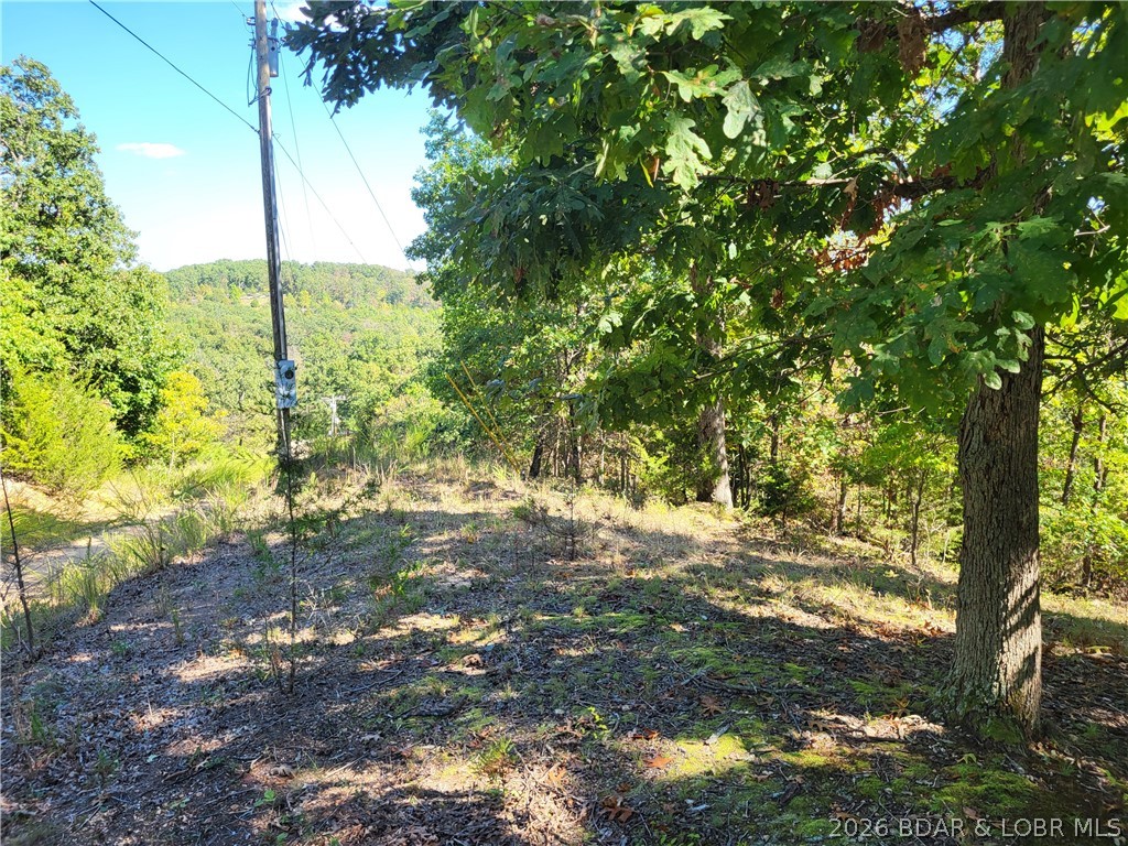 32534 Compromise Road