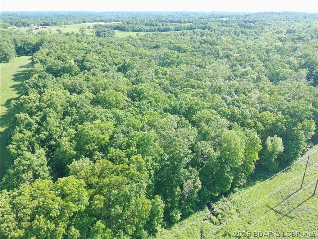 Tbd Rush Road Property Photo 8