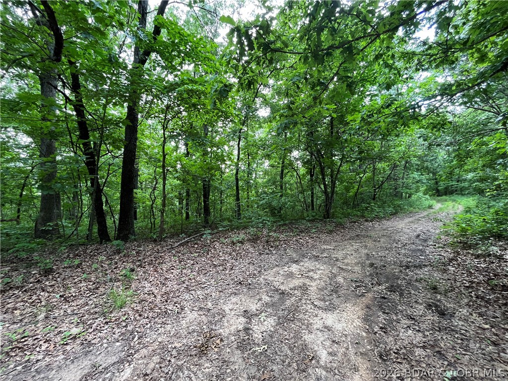 Tbd Lake Forest Estates Road Property Photo