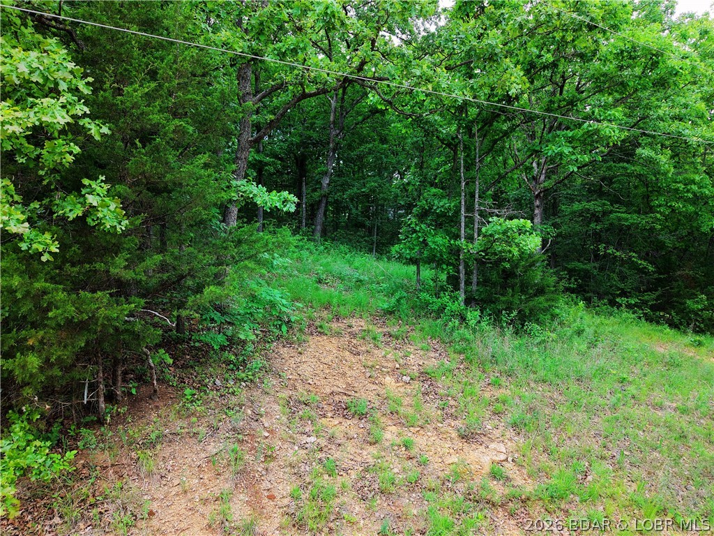 Tbd Mohawk Lane Property Photo 2