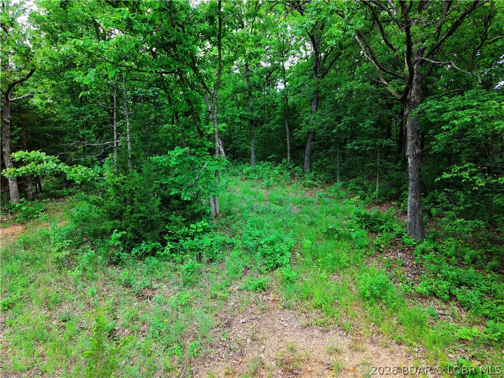 Tbd Mohawk Lane Property Photo 4