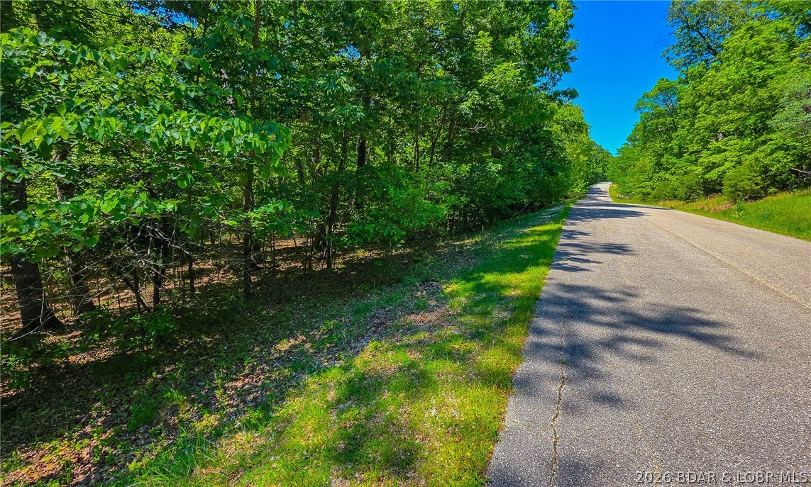 Lot #1150 Spring Creek Drive Property Photo 1