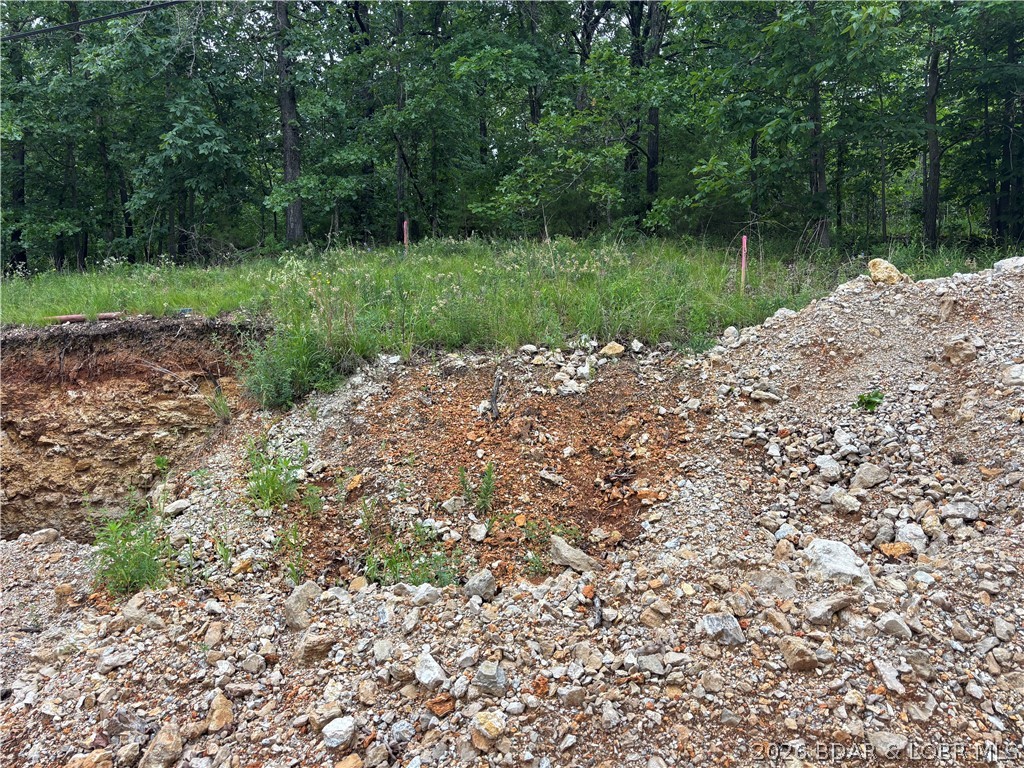 62 Dewing Drive Property Photo 15