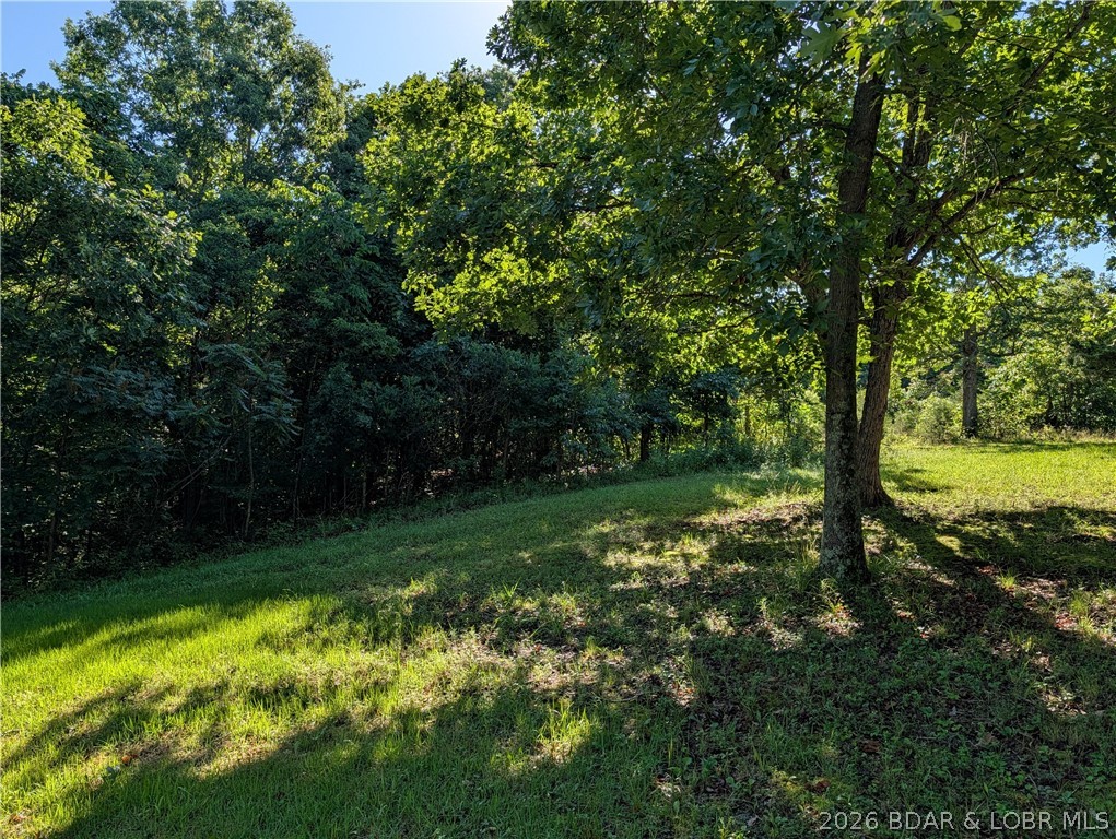 48 Hunters Crest Property Photo 25
