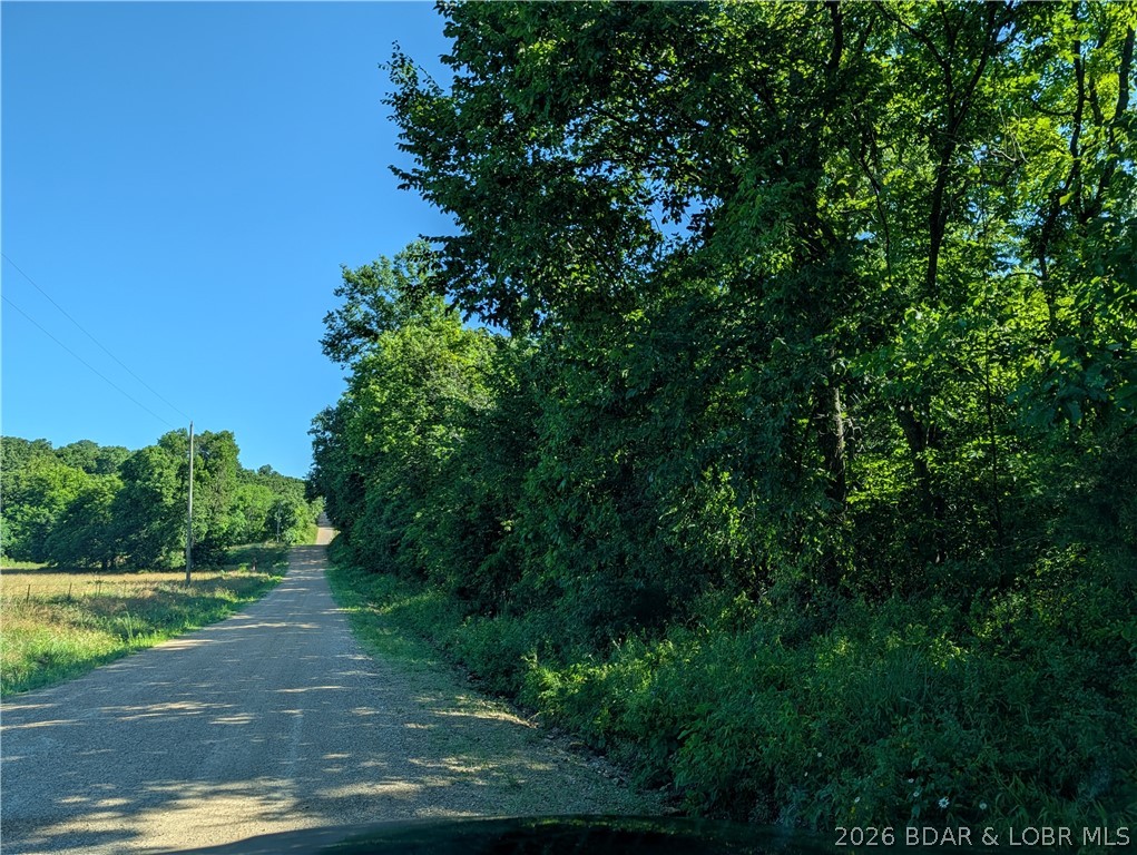 48 Hunters Crest Property Photo 34