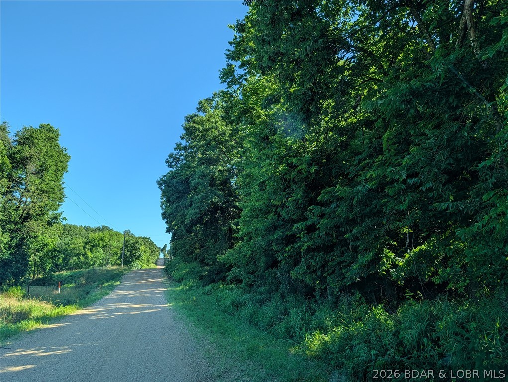48 Hunters Crest Property Photo 35