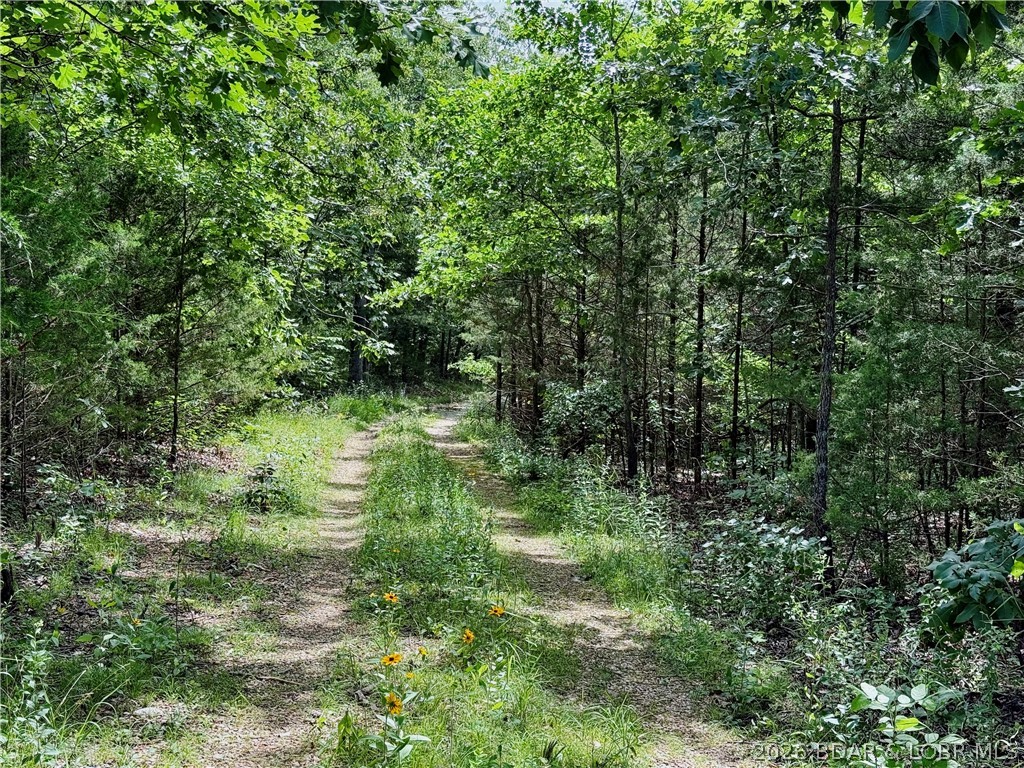 27 Puckett Road Property Photo 4