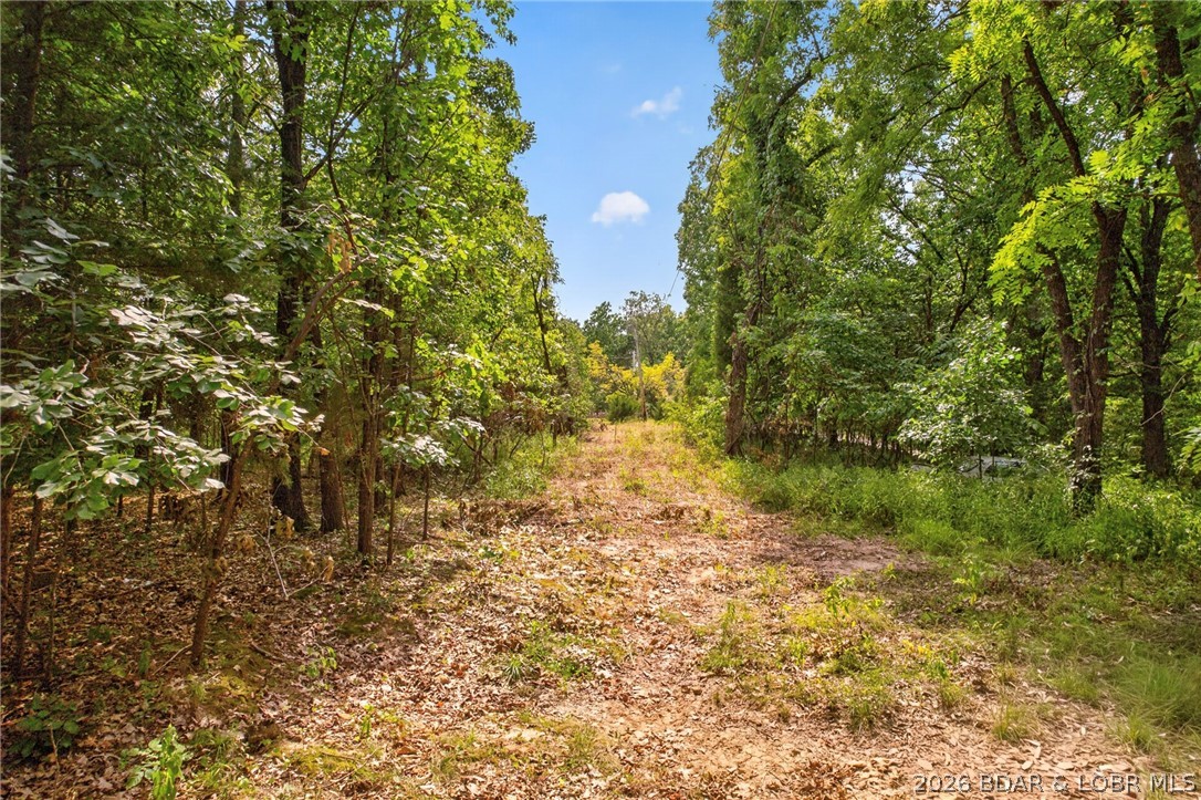17 Aschoff Road Property Photo 83
