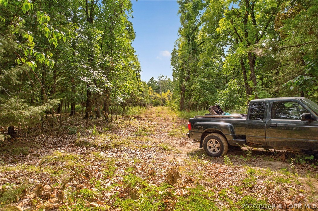 17 Aschoff Road Property Photo 84