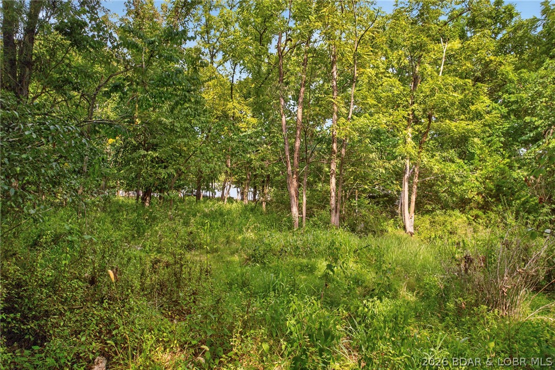 17 Aschoff Road Property Photo 85