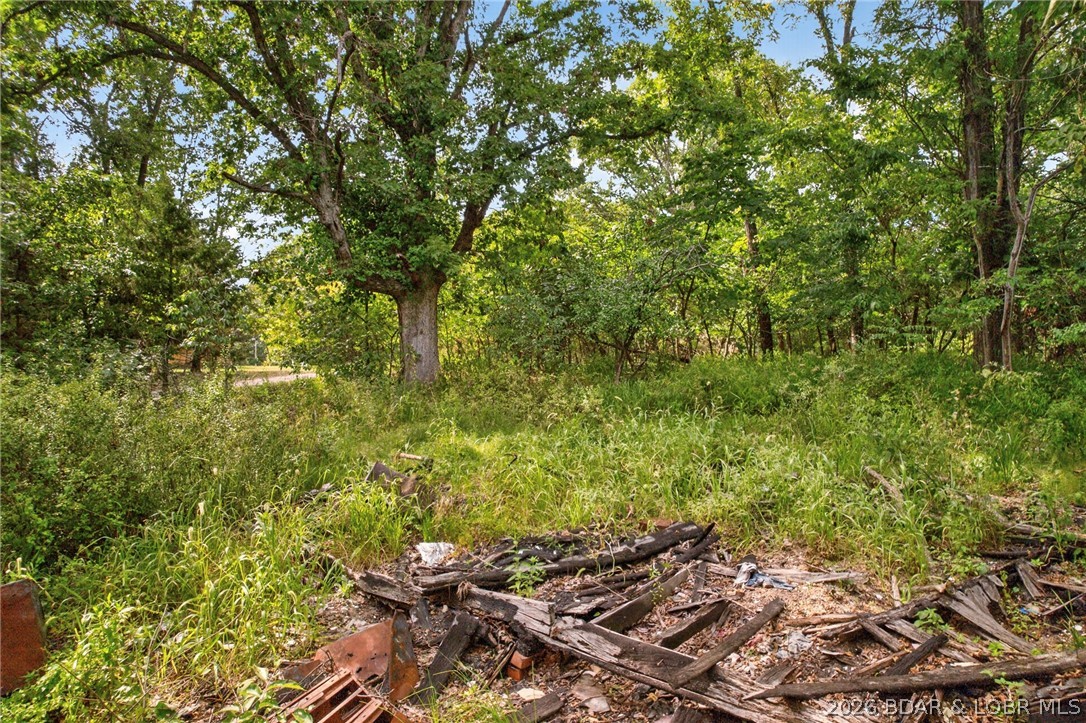 17 Aschoff Road Property Photo 86