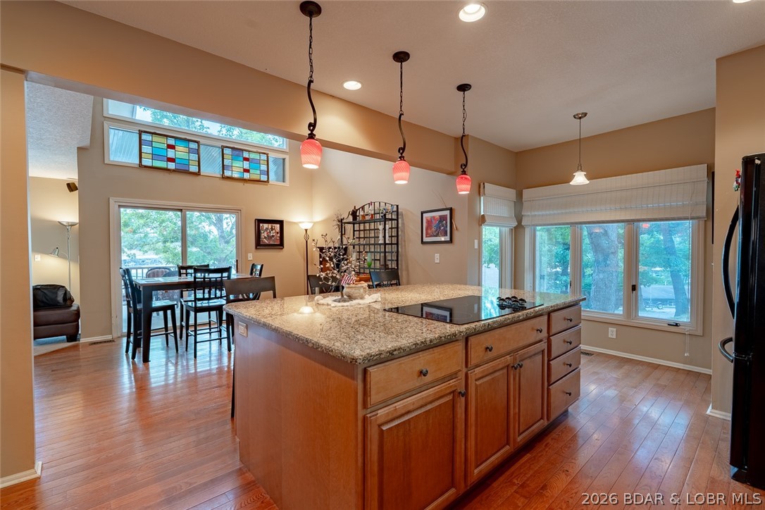 1316 Castle Court Property Photo 6