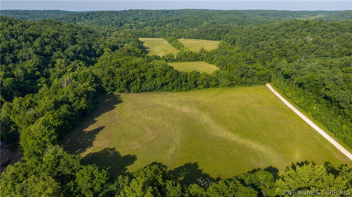 Tbd Witt Road Property Photo 3
